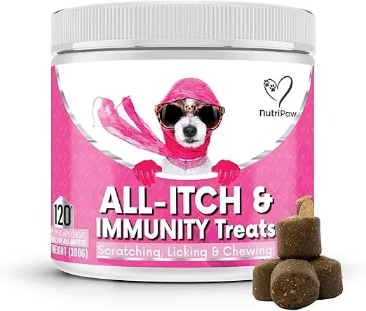 NutriPaw All-Itch & Immunity Daily Treats for Dogs – Skin, Coat & Allergy Support SCENTORA SCENTORA