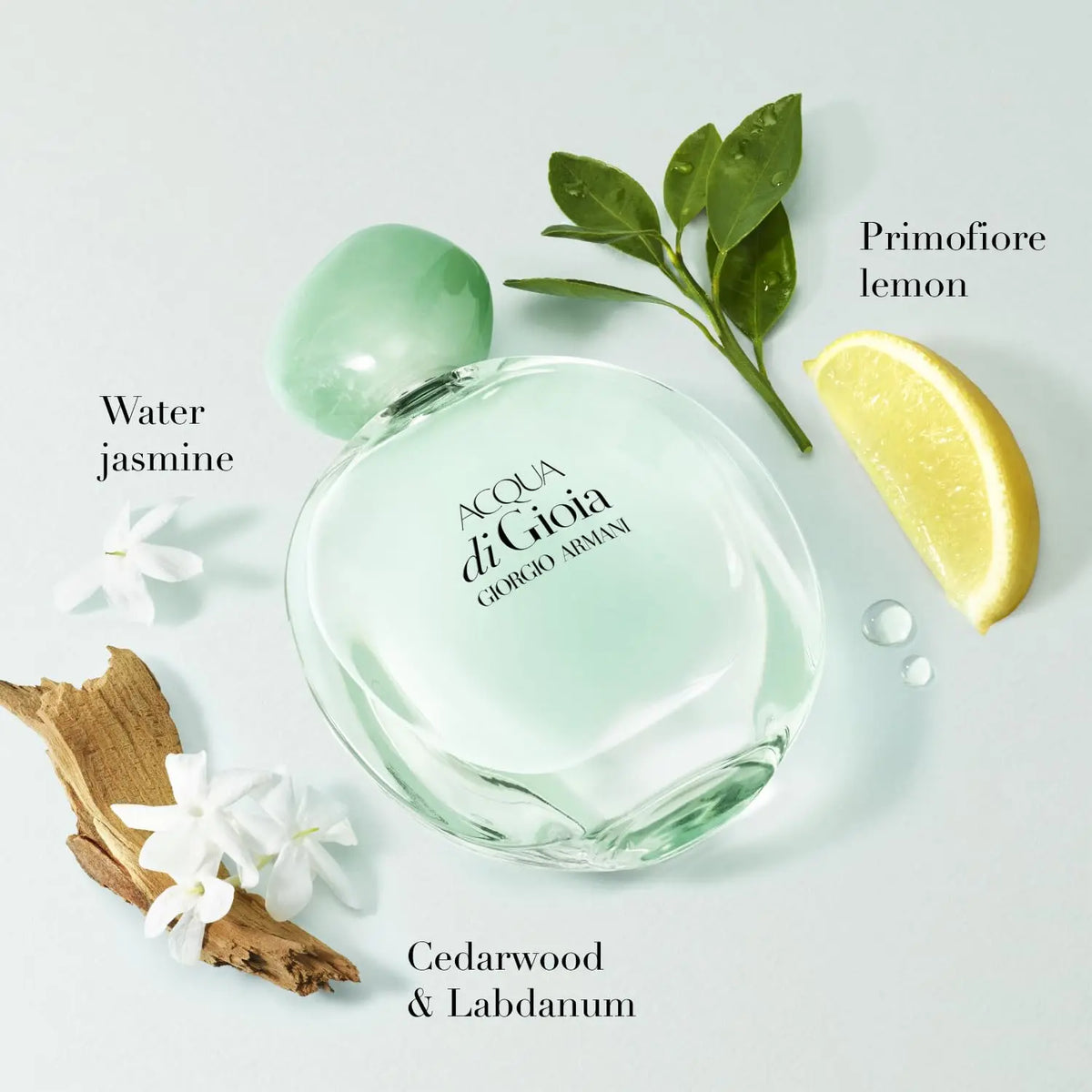 Giorgio Armani Acqua di Gioia Eau de Parfum, 100ml Armani Beauty   SCENTORA