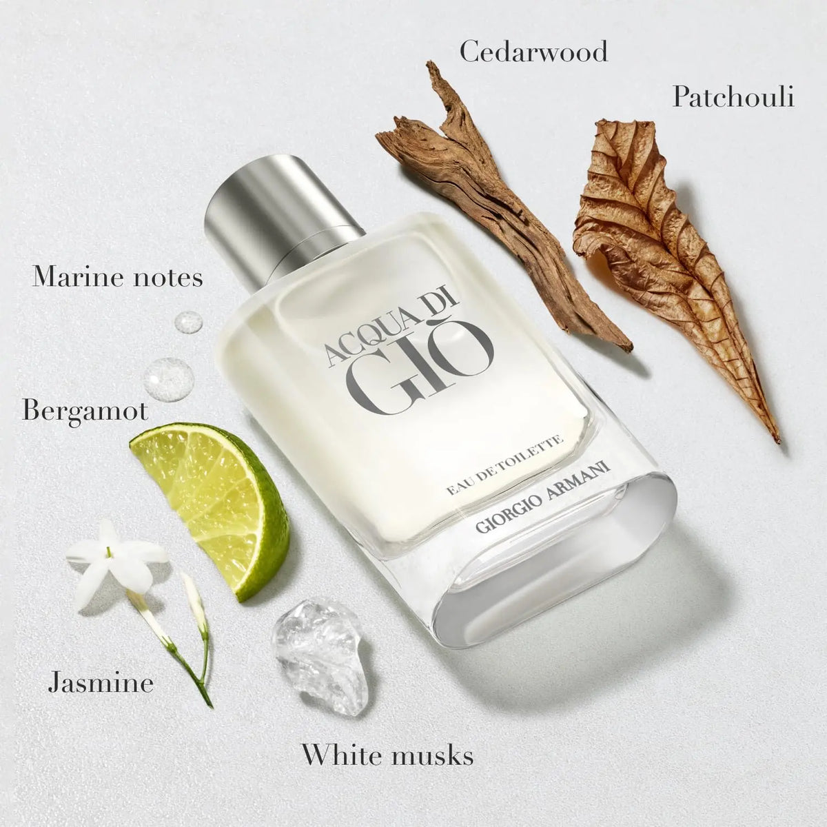 Giorgio Armani Acqua Di Gio Eau de Toilette, 3.4oz Armani Beauty   SCENTORA